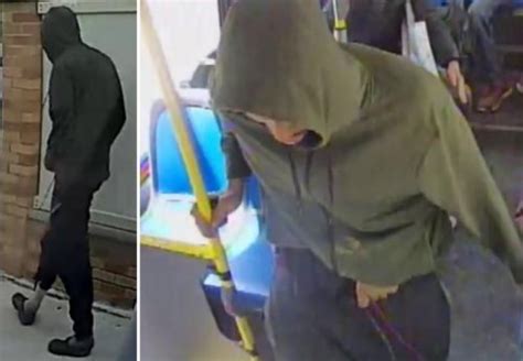 Cops seek tips after man allegedly bit, groped girl on bus on ...